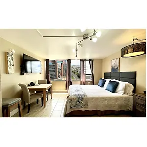  Apartment King Bed, Spacious, Legal, View United States